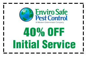 Pest Control Coupons and Special Las Vegas and Henderson Nevada
