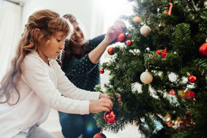 Inspect your Christmas tree for pests and insects before bringing it into your Las Vegas or Henderson NV home - Western Exterminator of Las Vegas